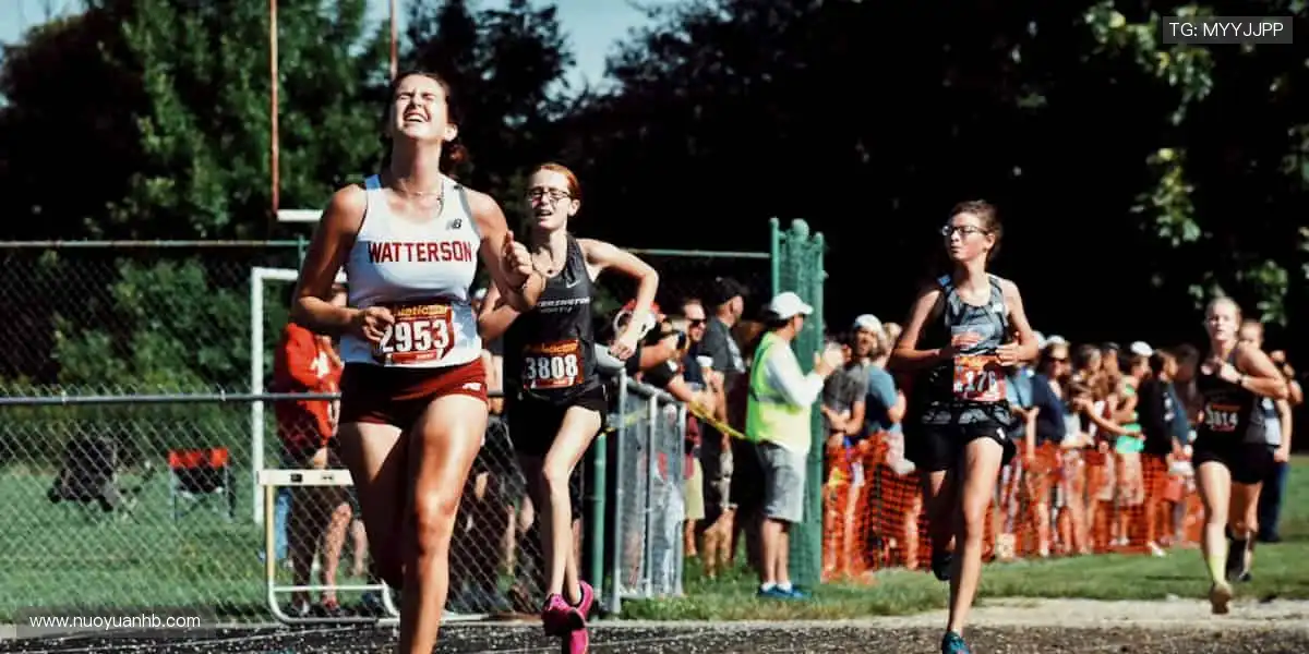 篮筐之下，书写属于你的传奇！🏀✨